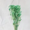 80g Doğal Korunmuş Kurutulmuş Çiçek Buket Sevgililer Günü Meyve Eryngium Noel Sanat Küresi Ev Düğün Dekorasyon Dekoratif Çiçekler4702911