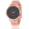 Wristwatches Rose Gold Alloy Fashion غير منتظم دائرة مزدوجة Dial Dial Ladie Watch Frosted Surface Mesh Belt Exclseories Women’s Protable