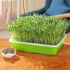 Planters & Pots Soilless Nursery Tray Seeding Sprout Plate Home Garden Hydroponic Plant Wheatgrass Growing