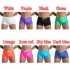 Sous-vêtements 2021 Mode Hommes Culottes Mâle Couleur Unie Lisse Maillot De Bain Décontracté Slim Sous-Vêtements Confortable Boxer Slip