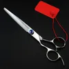 Forbici per capelli Professionale per mancini Giappone 440c 8 pollici Pet Grooming Cesoie per cani Taglio Barbiere Parrucchiere