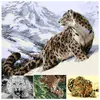 Paintings Digital Oil Painting Picture Cheetah Leopard Paint Acrylic Handmade Adult Children Gift Wall Decoration By Art