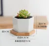 216pcs ceramic bonsai pots wholesale mini white porcelain flowerpots suppliers for seeding succulent indoor home Nursery planters