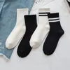 Herrensocken aus mehrfarbigem und weißem langem Baumwoll-Männer-Frühlings- und Sommer-Soild-Mesh für alle Größen2456