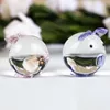 Decoratieve objecten beeldjes 1 stuk schattig kristal varken model ambachten 6 kleuren dier beeldje voor Valentijnsdag verjaardag geschenken Home Decora