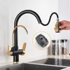 Black Gold Filter KitchenFaucets Pure Water Rotatable Dual Spout Kitchen Faucet Dual Handles Filtered Mixer Tap For Kitchen 211108