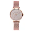 Avanços de pulso 2022 Luxo Luxo de 30bar Gradiente aquático Color Women Feminino Selógio Fans de aço inoxidável Esporte casual Sport Gold Rose Gold