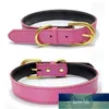 Corolful Designer New PU Leather Soft Padded Small Dog Collar Pet Puppy Cat Perro Collars with Strong Buckle for dogs Pitbull Factory price expert design Quality