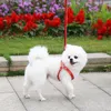 8 Color Fashion Luxury Cat Dog Collars Leashes Set Pets Harnesses Retro Leather Pet Collar Designer Belt Poodle Schnauzer Small Si3504115