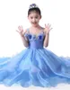 Pretty Blue Organza Straps Girl's Pageant Jurken Bloem Meisje Jurken Prinses Party Jurken Kind Rok Custom Made 2-14