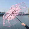 100 adet / grup Şeffaf Temizle Şemsiye Kolu Rüzgar Geçirmez 3 Kat Şemsiye Kiraz Çiçeği Mantar Apollo Sakura Kadınlar Kızın Şemsiye Jje1