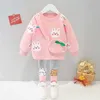 HYLKIDHUOSE Automne Bébé Filles Vêtements Ensembles En Enfants Dessin animé Lapin à manches longues T-shirt Pantalons Enfants Vêtements Casual Vêtements Enfant Outfit 211104