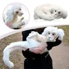 Dekoratif Objeler Figürinler 40cm Falkor Hiç Bitmeyen Hikaye Peluş Bitmeyen Bebek Oyuncakları Çocuklar İçin Hediye Adluts