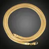 Kettingen 3 4 7 MM Brede Vintage Snake Bone Ketting Voor Vrouwen Mannen Platte Visgraat Ketting Chokers Gold Filled Miami Sieraden Gifts274w