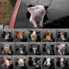 Window Stickers Animal Wall Car Windshield PVC Art Decals Lovely Pig Horse Cow 3D Funny Sticker Home Toilet Kicthen Decor