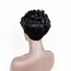 Short Curly Synthetic Wig Simulation Human Hair Wigs Hairpieces for Black Women pelucas de cabello natural corto 205A