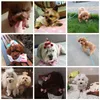 Vêtements pour chiens 18 pièces/ensemble épingles à cheveux pour chiens rose noir garçon fille fête mariage luxe toilettage pour animaux de compagnie pince à cheveux accessoires chat Chihuahua Yorkies