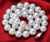 Neue feine Perlen Schmuck Natürliche 11-14mm Südmeerweiße Runde Perlen Halskette 18 "Silber