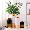 Vases Black White Ceramic Vase Golden Line Design Flower Water Planting Container Home Decorative R711