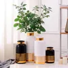 Vasen Schwarz Weiß Keramikvase Golden Line Design Blumenwasser Pflanzbehälter Home Dekorativ R711