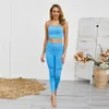 SeamlYoga Set Frauen Gym Kleidung 2 Stück Frauen Gym Set FitnSport Yoga Anzug Hohe Taille SeamlLeggings Gepolsterte Sport Bh x0629