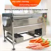 Potato Carrot Roller Borste Rengöringsmaskin Frukt och grönsak Tvättskalningsmaskin Taro Gurka Peeler Tillverkare