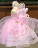 2021 Dantel Pembe Tutu Balo Çiçek Kız Elbise Moda Tül Zarif Lilttle Çocuklar Doğum Günü Pageant Weddding Gowns ZJ01