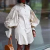 5 Colors Women Dresses Long Puff Sleeve Lapel Shirt Dress Spring Elegant Party Casual