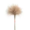 real pampas grass decor natural dried flowers plants wedding flowers dry flower bouquet fluffy lovely for holiday home decor 494 R2