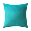 Taie d'oreiller en velours housse de coussin doux solide carré oreiller décoratif couvre canapé coussin coussin 45x45 cm T2I51779