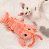 Kippets電気猫のおもちゃロブスター面白い猫の棒咬傷抵抗が生える食材猫の必須洗濯物を傷つける210929