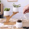 2 style ceramiczne soczyste garnki donica ogrodowy dla roślin Bonsai garnek bambusowe stojaki