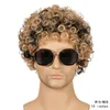 Kinky Kędzierzawy Męska Syntetyczna Peruka Wig Mix Kolor Peluc Perruques de Cheveux Humlains Symulacja Ludzkie Remy Włosy Peruki Wig-M08