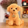 シミュレーションテディ犬のぬいぐるみおもちゃ人形子犬犬ragdoll doll05309955