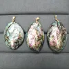 Pendentif en coquille d'ormeau Paua véritable, forme libre, avec métal doré, bijoux pour femmes et hommes, 5 pièces