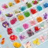 1Box Gedroogde Bloemen Droge Planten Voor Hars Mallen Vullingen Epoxy Hanger Ketting Sieraden Maken Craft DIY Nail Art Decoratie Decoratieve Wrea