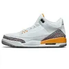 Jumpman Top Nieuwe 3 3s Cool Grey Count Paarse Laarzen Schoenen Fragment Heren Trainers Dames Schoenen Retro UNC Laser Oranje Rood Cement Schoenen