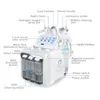Machine hydro faciale professionnelle 6 en 1 pour rajeunissement de la peau, eau et oxygène, offre spéciale 2024