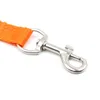 Candy Color Dog Leashes Hook Nylon Walk Dogs Training Leash Pet Supplies RH3958