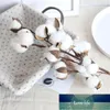 10 głowic suszone bawełniane łodygi sztuczny kwiat wypełniacz kwiatowy wystrój symulacyjny kwiat DIY Dekoracje ślubne Flores Artificiais Cena fabryczna Ekspert Quality