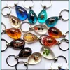 Kluczowe pierścienie Biżuteria 15 Sztuk Real Scorpion Spider Crab Ant Four Leaf Clover Kształcie Kształcie Amber Resin Brelok Brelok TaxideMy Divity Insect Encased Del