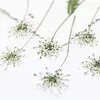 100pcsPressed white Lace flowers with StemNature Real Flower for DIY Wedding invitation art bookmark Gift CardScented candles 28057027