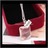 Pendant Necklaces & Pendants Jewelry Bottle Seed In Glass Sier Plated Long Chain Necklace Natural Dandelion Necklace