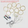 Luzes de cordas LEDs Decoração de Natal Controle remoto USB Casamento Garland Curtaina 3m Férias de lâmpada para quarto bulbo ao ar livre Fairy7027010