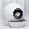 litter automatique des chats