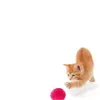 Chat Jouets Coloré Boule Roulante Fil Jouet Interactif Chats Drôle Chaton Balles Fournitures Pour Animaux RH5024