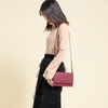 Wallet Perfect for You Weichen Minority Design Bag Women's Simple and Fashionable Small Square Single Shoulder Messenger 048