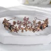 Barroco Vintage Purple Crystal Flowers Nupcial Tiaras Crown Head Pieces Black Pageant Crowns Wedding Hair Accessories 210616