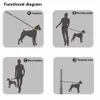 Elastisk midja hund koppel för promenader kör för stor liten husdjur hund justerbar nylon med reflekterande dragkedja 210712