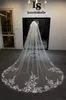 Velo da sposa con applicazioni floreali a 1 livello lungo bordo in pizzo cattedrale squisiti ed eleganti veli da sposa per la sposa con pettine